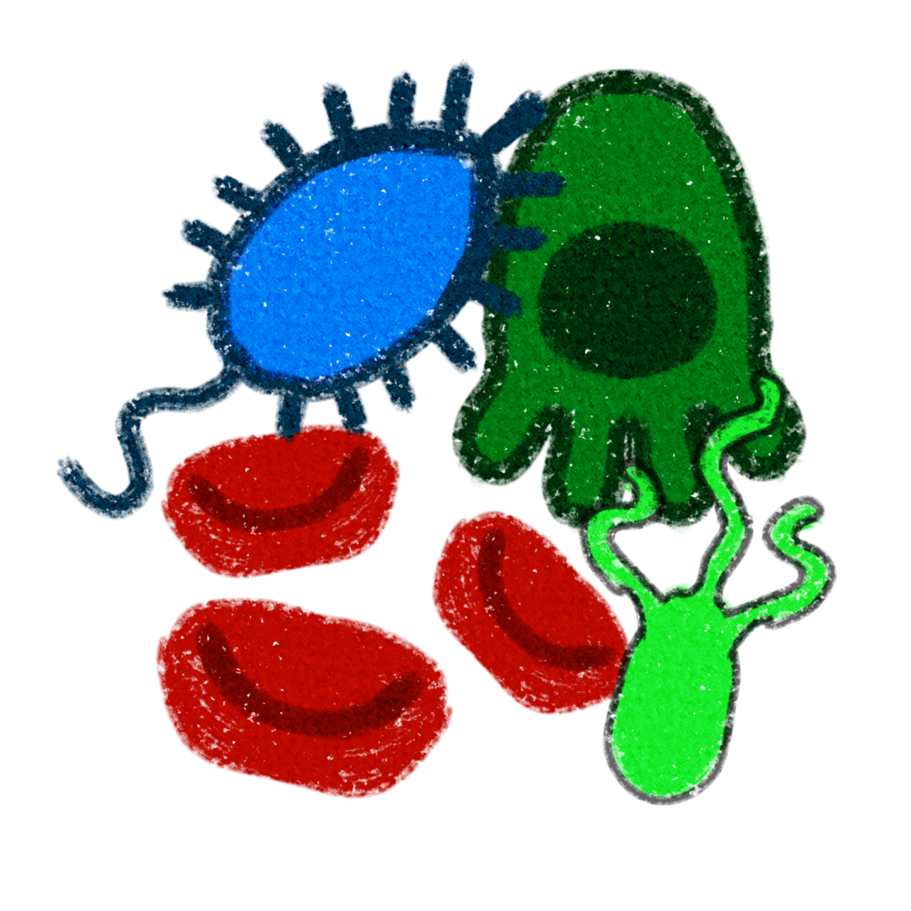 a various selection of bacteria in colours of green and blue, and three red blood cell